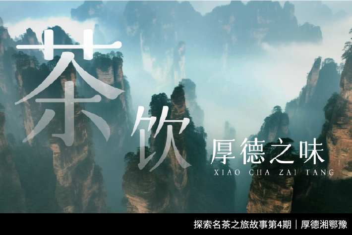 小茶栽堂探索名茶之旅系列故事第4期|厚德湘鄂豫