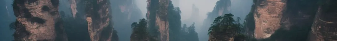 画境里的小茶故事|生活之中传递的厚德之味